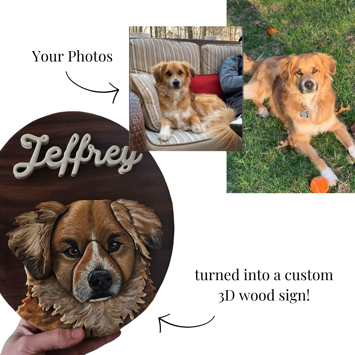 3D Custom Pet Portrait