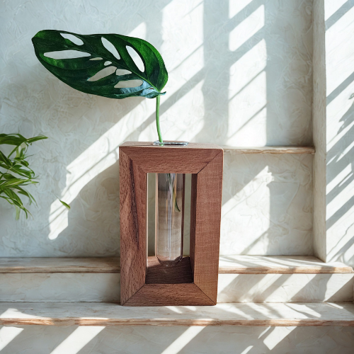 Natural Propagation Planter