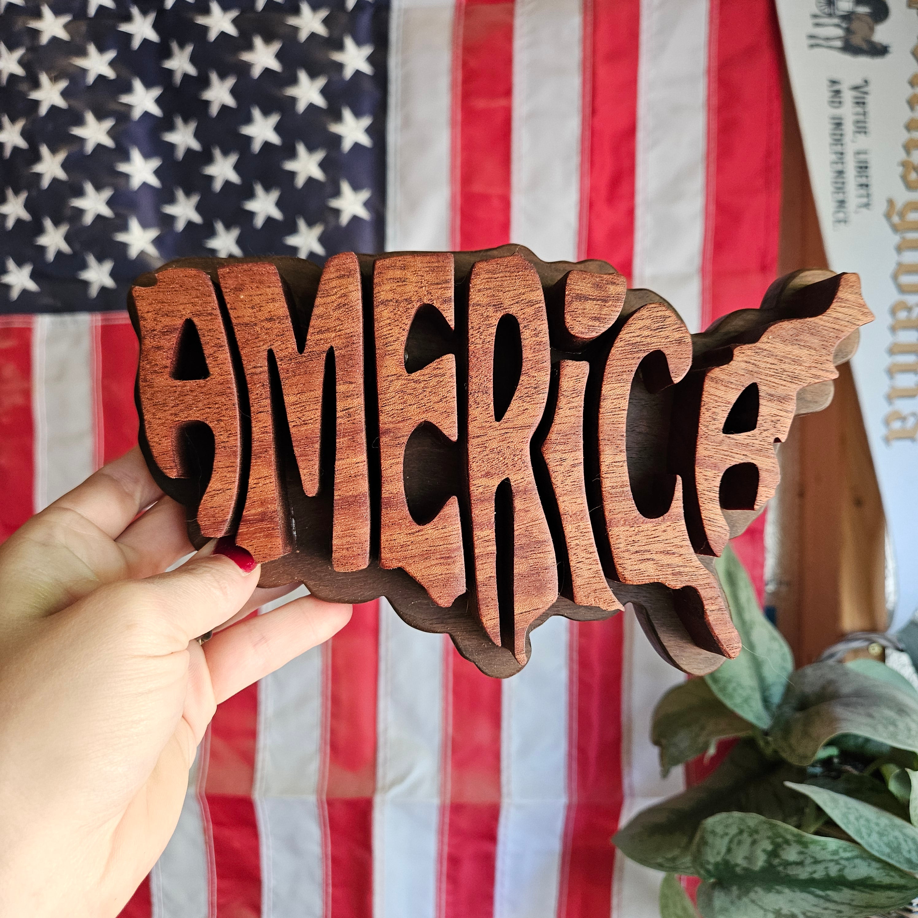 3D America Sign