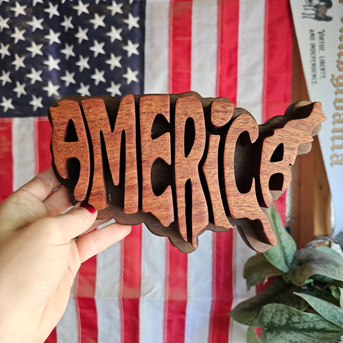 3D America Sign