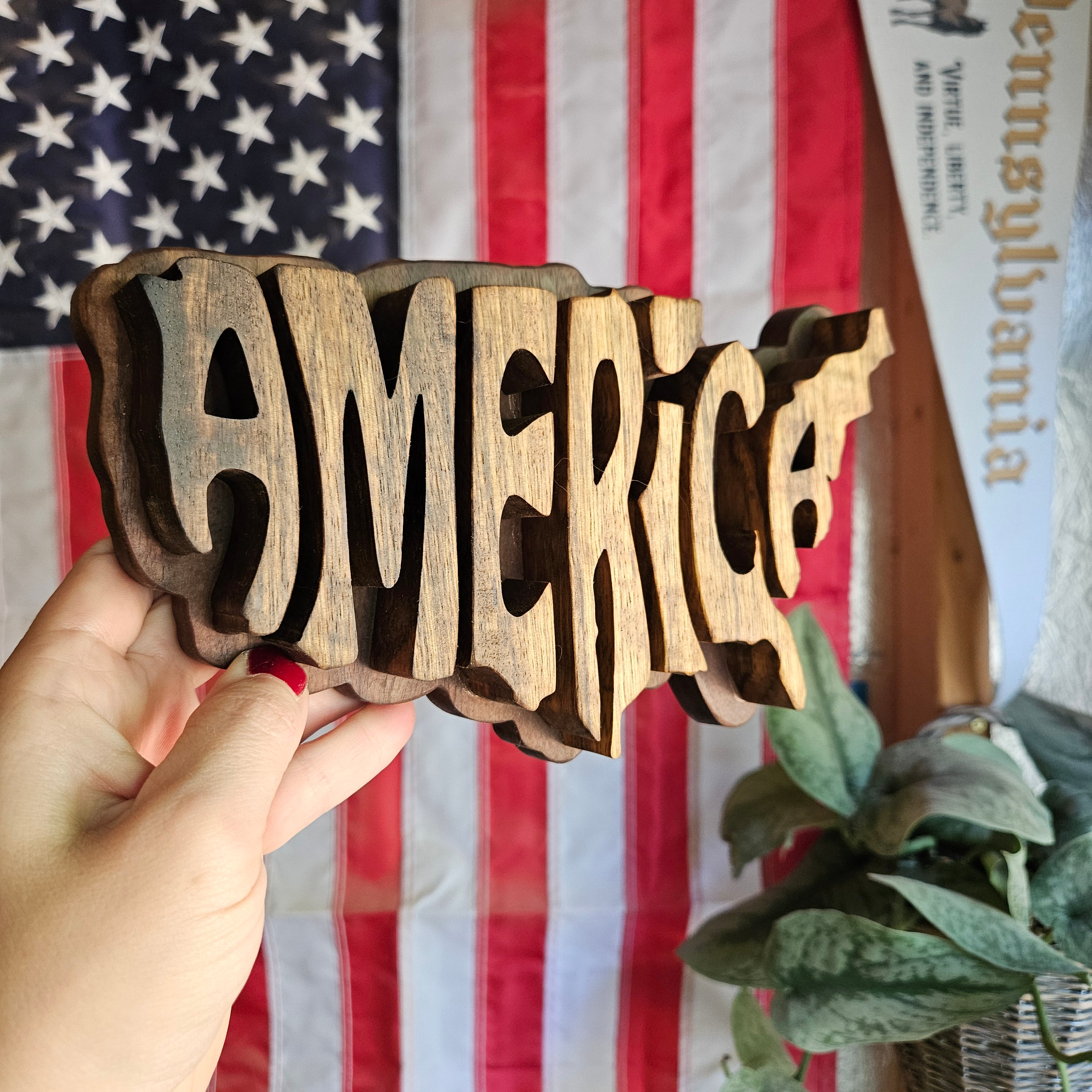 3D America Sign